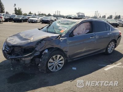 2015 HONDA ACCORD EXL 1HGCR3F87FA038413 - główne zdjęcie licytacji z USA - miniatura