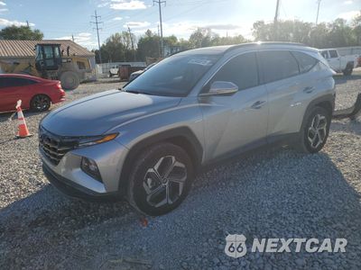 2024 HYUNDAI TUCSON LIMITED 5NMJECDE1RH342213 - główne zdjęcie licytacji z USA - miniatura