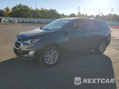 2019 CHEVROLET EQUINOX LS 3GNAXSEVXKS672294 - główne zdjęcie licytacji z USA - miniatura
