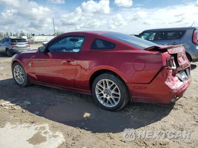 Drugie zdjęcie samochodu z przodu: 2014 FORD MUSTANG VIN:1ZVBP8AM9E5294042 - miniatura
