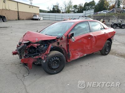 2013 TOYOTA COROLLA BASE 2T1BU4EE5DC971239 - główne zdjęcie licytacji z USA - miniatura