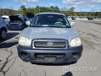 Piąte zdjęcie samochodu w środku: 2003 HYUNDAI SANTA FE GL VIN:KM8SB12B43U553900 - miniatura