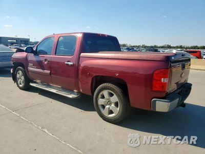 Drugie zdjęcie samochodu z przodu: 2009 CHEVROLET SILVERADO C1500 LT VIN:3GCEC23009G191559 - miniatura