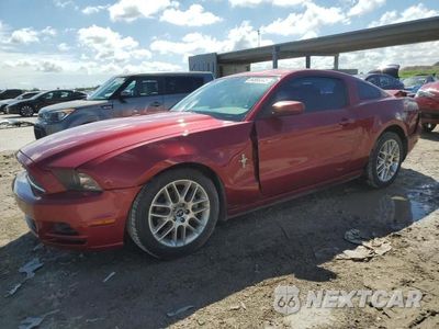 2014 FORD MUSTANG 1ZVBP8AM9E5294042 - główne zdjęcie licytacji z USA - miniatura