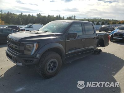 2021 FORD F150 RAPTOR 1FTFW1RG5MFC83836 - główne zdjęcie licytacji z USA - miniatura