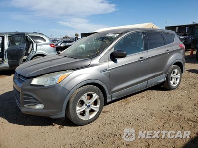 2014 FORD ESCAPE SE 1FMCU0GX7EUC59634 - główne zdjęcie licytacji z USA - miniatura