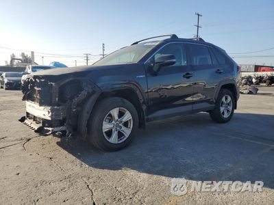 2020 TOYOTA RAV4 XLE 2T3RWRFV3LW050534 - główne zdjęcie licytacji z USA - miniatura
