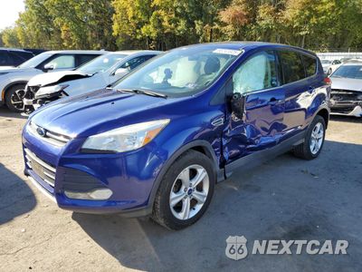 2016 FORD ESCAPE SE 1FMCU0G7XGUA25524 - główne zdjęcie licytacji z USA - miniatura