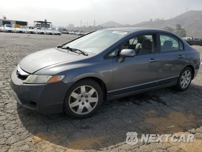 2009 HONDA CIVIC LX 19XFA16589E042808 - główne zdjęcie licytacji z USA - miniatura