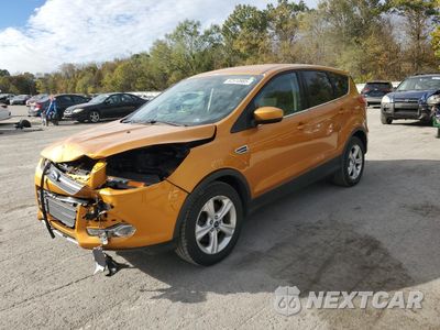 2016 FORD ESCAPE SE 1FMCU9GX9GUA73715 - główne zdjęcie licytacji z USA - miniatura