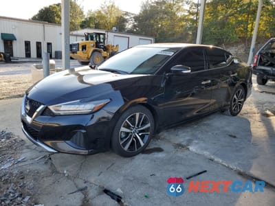 2023 NISSAN MAXIMA SV 1N4AA6CV4PC510832 - główne zdjęcie licytacji z USA - miniatura