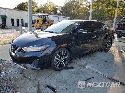2023 NISSAN MAXIMA SV 1N4AA6CV4PC510832 - główne zdjęcie licytacji z USA - miniatura