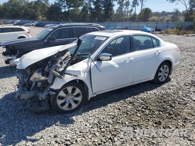 2010 HONDA ACCORD EX 1HGCP2F71AA082763 - główne zdjęcie licytacji z USA - miniatura