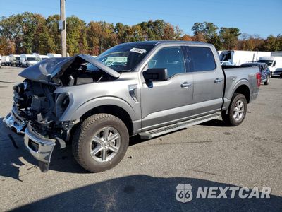 2025 FORD F150 XLT 1FTEW3LP0SKE08794 - główne zdjęcie licytacji z USA - miniatura