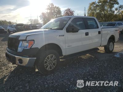 2014 FORD F150 SUPERCREW 1FTVW1ETXEKD36831 - główne zdjęcie licytacji z USA - miniatura
