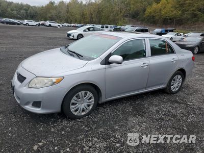 2010 TOYOTA COROLLA BASE 2T1BU4EE5AC382543 - główne zdjęcie licytacji z USA - miniatura