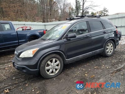 2009 HONDA CR-V EXL 5J6RE48759L015438 - główne zdjęcie licytacji z USA - miniatura