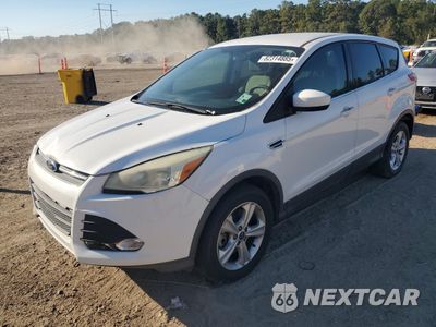 2014 FORD ESCAPE SE 1FMCU0G95EUB02248 - główne zdjęcie licytacji z USA - miniatura