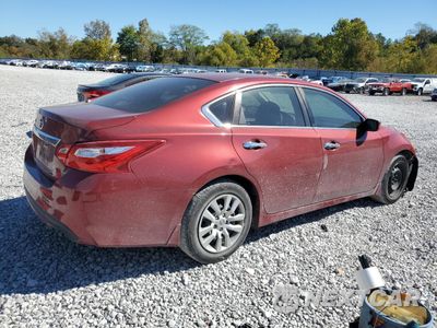Trzecie zdjęcie samochodu z tyłu: 2016 NISSAN ALTIMA 2.5 VIN:1N4AL3AP1GN392188 - miniatura