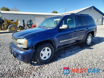 2003 CHEVROLET TRAILBLAZER 1GNDS13S832352418 - główne zdjęcie licytacji z USA - miniatura