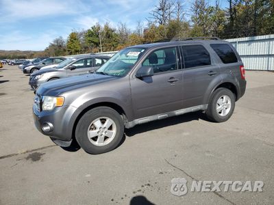 2010 FORD ESCAPE XLT 1FMCU9D76AKA78359 - główne zdjęcie licytacji z USA - miniatura