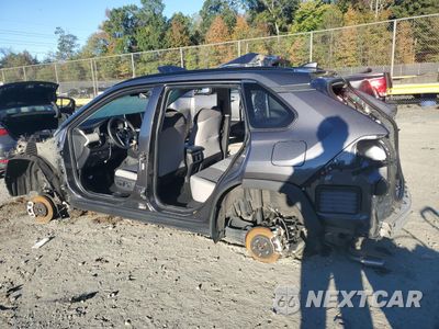 Drugie zdjęcie samochodu z przodu: 2024 TOYOTA RAV4 XLE VIN:2T3P1RFV5RC443905 - miniatura