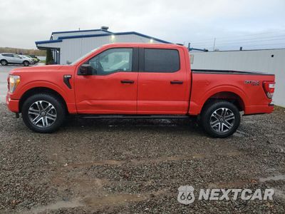 Zdjęcie 12 z 14 samochodu: 2021 FORD F150 SUPERCREW VIN:1FTFW1E8XMKD40490 - miniatura