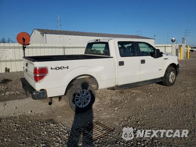 Trzecie zdjęcie samochodu z tyłu: 2014 FORD F150 SUPERCREW VIN:1FTVW1ETXEKD36831 - miniatura