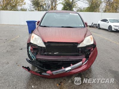 Piąte zdjęcie samochodu w środku: 2008 HONDA CR-V EXL VIN:JHLRE48798C036185 - miniatura