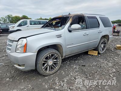 2013 CADILLAC ESCALADE PREMIUM 1GYS4CEF4DR106586 - główne zdjęcie licytacji z USA - miniatura