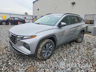 2023 HYUNDAI TUCSON BLUE KM8JBCA10PU109922 - główne zdjęcie licytacji z USA - miniatura