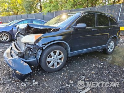 2007 HONDA CR-V EX JHLRE48547C054879 - główne zdjęcie licytacji z USA - miniatura