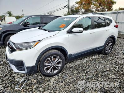 2022 HONDA CR-V EX 5J6RW2H54NA000547 - główne zdjęcie licytacji z USA - miniatura