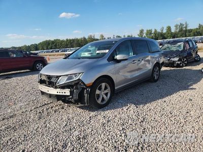 2019 HONDA ODYSSEY EXL 5FNRL6H75KB123381 - główne zdjęcie licytacji z USA - miniatura