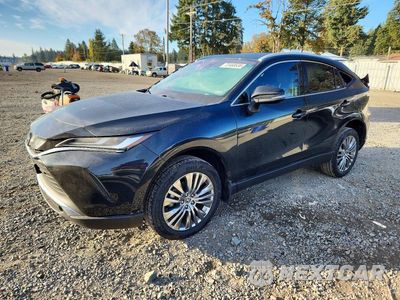 2024 TOYOTA VENZA XLE JTEAAAAH3RJ161196 - główne zdjęcie licytacji z USA - miniatura