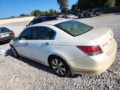Drugie zdjęcie samochodu z przodu: 2008 HONDA ACCORD EXL VIN:1HGCP368X8A019914 - miniatura