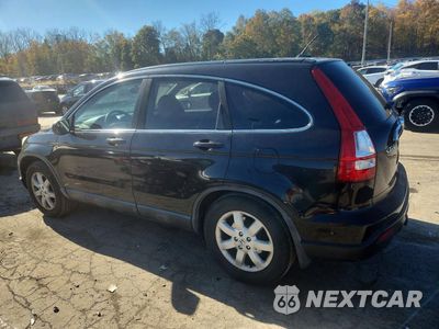 Trzecie zdjęcie samochodu z tyłu: 2009 HONDA CR-V EXL VIN:5J6RE48749L063903 - miniatura