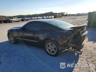 Drugie zdjęcie samochodu z przodu: 2013 FORD MUSTANG VIN:1ZVBP8AM2D5277324 - miniatura