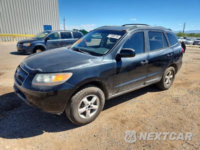 2007 HYUNDAI SANTA FE GLS KM8SG13D87U144161 - główne zdjęcie licytacji z USA - miniatura
