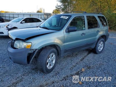 2007 FORD ESCAPE XLT 1FMYU93127KA18834 - główne zdjęcie licytacji z USA - miniatura