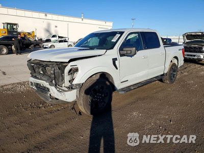 2023 FORD F150 SUPERCREW 1FTFW1ED9PFA31569 - główne zdjęcie licytacji z USA - miniatura