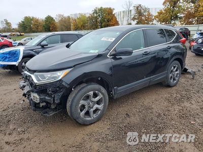 2019 HONDA CR-V EX 2HKRW2H55KH625727 - główne zdjęcie licytacji z USA - miniatura