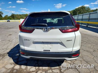 Zdjęcie 6 z 14 samochodu: 2020 HONDA CR-V EX VIN:5J6RW2H52LL004453 - miniatura