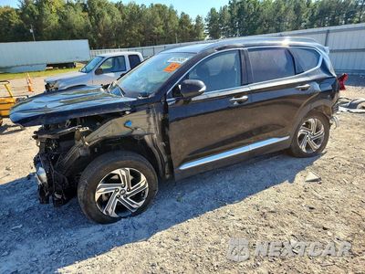 2021 HYUNDAI SANTA FE SEL 5NMS6DAJ2MH308783 - główne zdjęcie licytacji z USA - miniatura