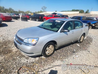 2004 CHEVROLET MALIBU LS 1G1ZT54804F126107 - główne zdjęcie licytacji z USA - miniatura