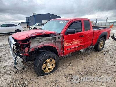 2008 TOYOTA TACOMA V6 5TEUU42NX8Z583906 - główne zdjęcie licytacji z USA - miniatura