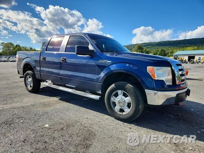 Czwarte zdjęcie samochodu z boku: 2009 FORD F150 SUPERCREW VIN:1FTRW14809FA80731 - miniatura