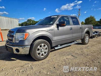 2013 FORD F150 SUPERCREW 1FTFW1CFXDFA71871 - główne zdjęcie licytacji z USA - miniatura