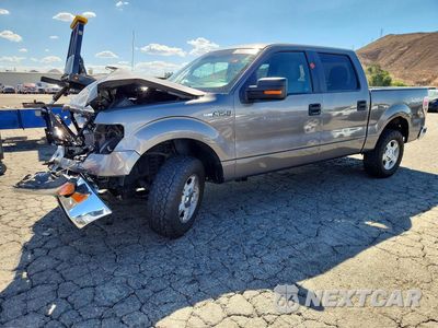 2014 FORD F150 SUPERCREW 1FTFW1EF1EFC34437 - główne zdjęcie licytacji z USA - miniatura
