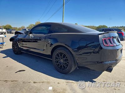 Drugie zdjęcie samochodu z przodu: 2013 FORD MUSTANG VIN:1ZVBP8AM3D5278546 - miniatura